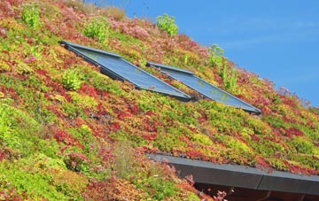 Simmondley living roof systems